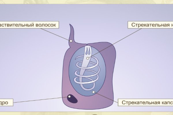 Вход в мегу