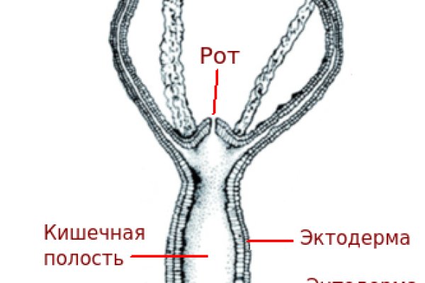 Кракен даркент