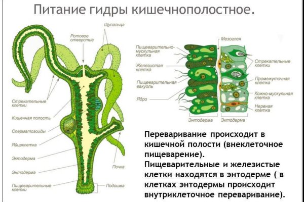 Омг заказ наркотиков