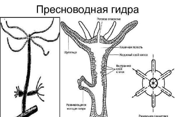 Новый домен омг v3